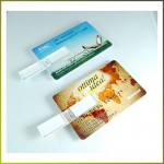 GOODRAM USB Karta kredytowa plastikowa  4-64Gb <font color=#ff0000>Dostpne w 48h !!</font>